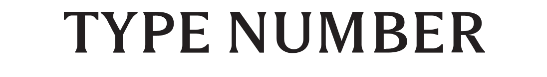 TYPE NUMBER